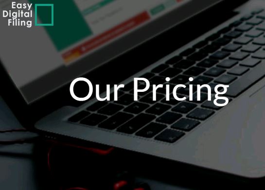 easydigitalfiling.com