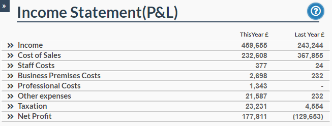 Company Micro Accounts Net Profit