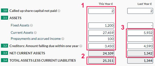 Company Micro Accounts Balance Sheet