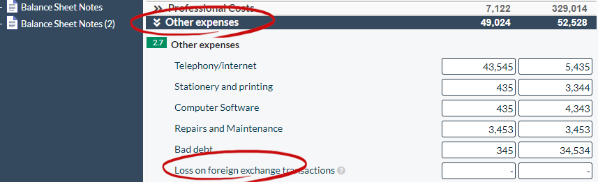 Micro Accounts income statement Forex Gain