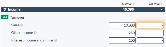 Company Micro Accounts Income Statement