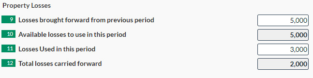 carry forward Ct600 Property Losses to use in current period