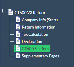 CT600 Supplementary sections